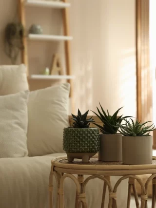Pourquoi ajouter une touche de verdure à votre salon devient une tendance déco discrète