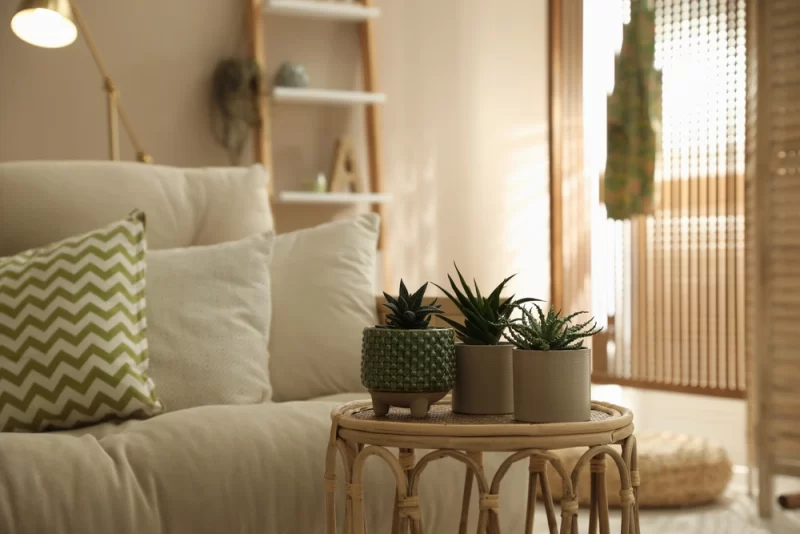 Pourquoi ajouter une touche de verdure à votre salon devient une tendance déco discrète