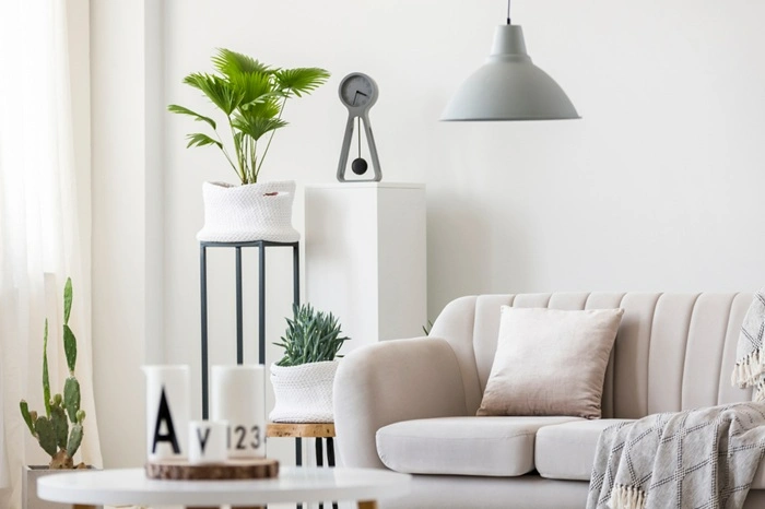 small apartment plants