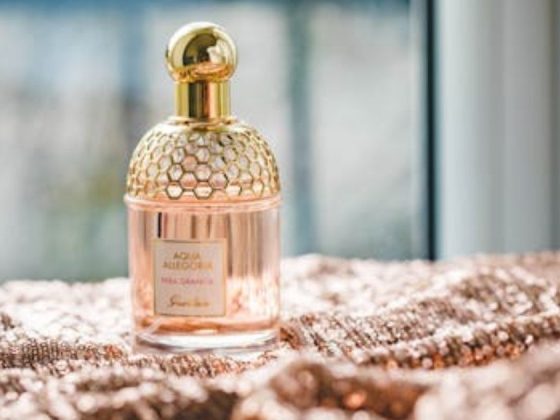 How Fragrance Guides Fashion: Stylish 2025 Trends