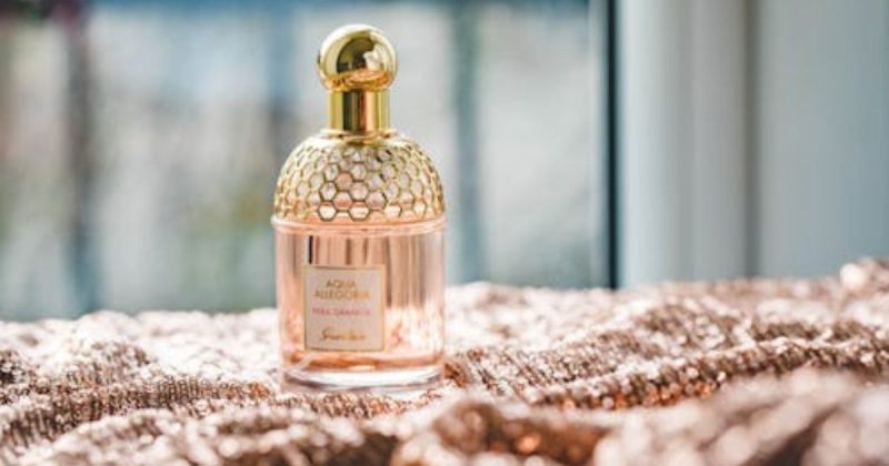 How Fragrance Guides Fashion: Stylish 2025 Trends