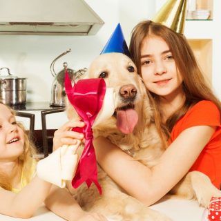 Must-Have Trendy Gifts for Pet Lovers (They’ll Actually Use)