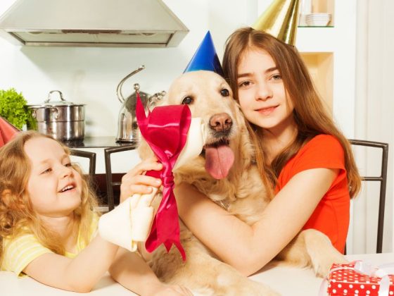 Must-Have Trendy Gifts for Pet Lovers (They’ll Actually Use)