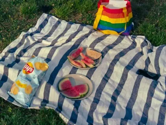 Innovative Picnic Blankets That Upgrade Any Outing in 2025
