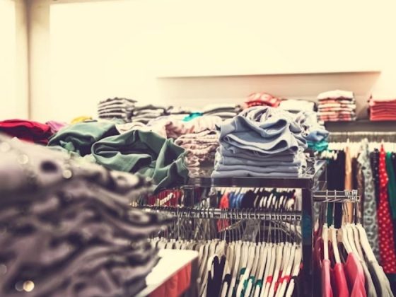 15 Steps to Master Thrift Flipping for Profit & Style