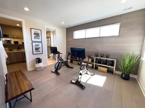 Mid-Level Setup-Gym at Home